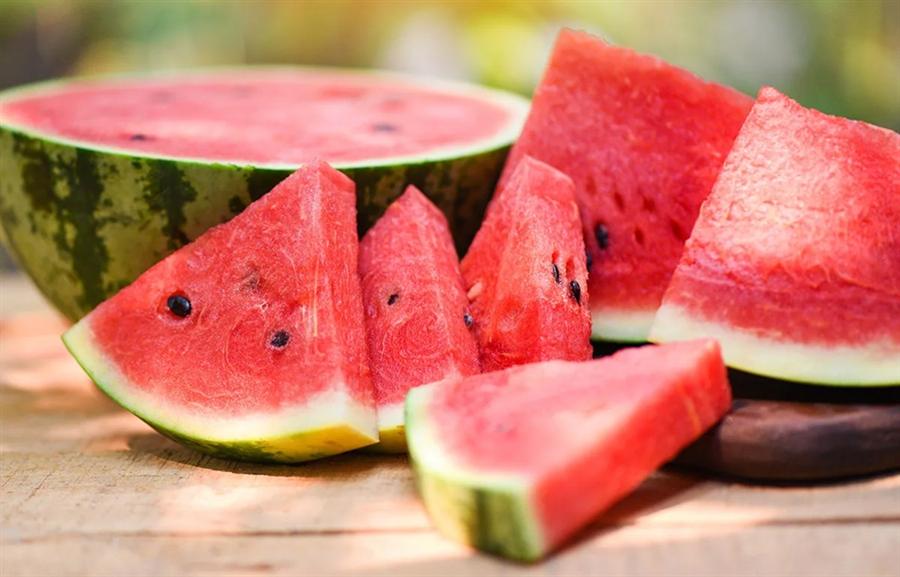 Watermelon in Egypt: From Ancient Fields to Global Markets